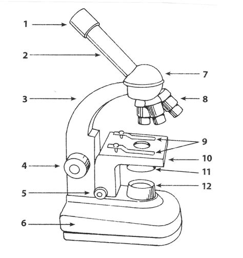 Afbeeldingsresultaten voor Compound Light Microscope Draw Tube