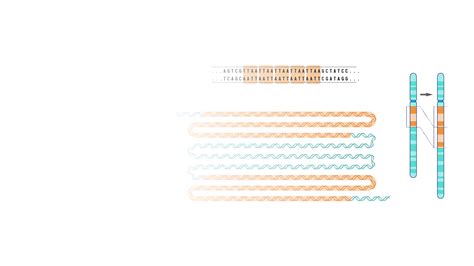 Image result for Duplication Disease