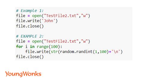Image result for Python Writing Illegible Code