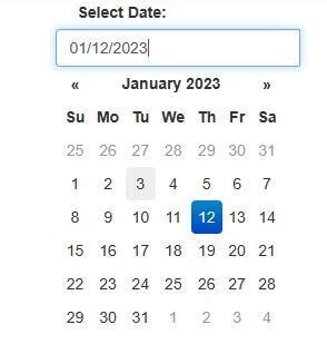 Bootstrap Date に対する画像結果