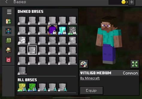 Minecraft Java Skins Not Loading に対する画像結果