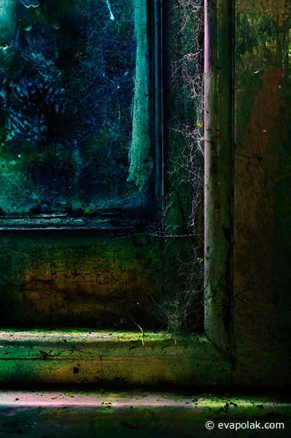 Unity in Photography に対する画像結果