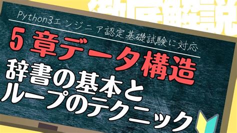 Expert Python Code に対する画像結果