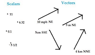 Image result for Scalar Tutorial