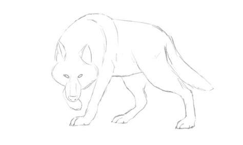 Image result for How Do You Draw Wolf