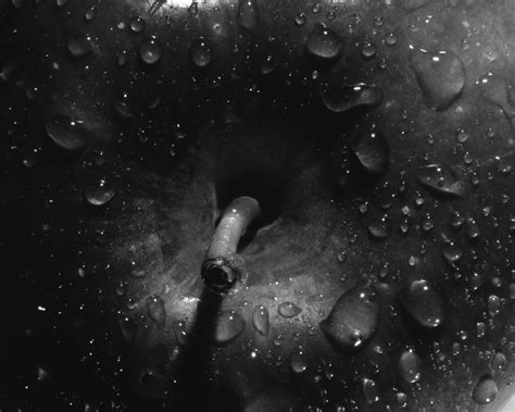 Image result for 4X5 Inch Negative Scanner