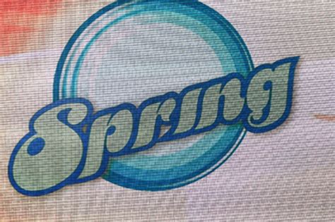 Image result for Spring Groep Logo