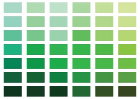 Image result for Full Range of CMYK Green