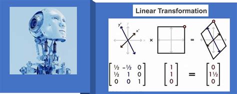 Afbeeldingsresultaten voor Linear Algebra MIT Part 2