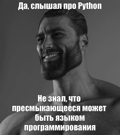Russian Python Coder Meme に対する画像結果