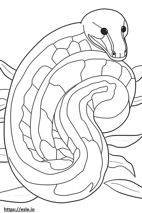 Simply Black Python Drawing に対する画像結果