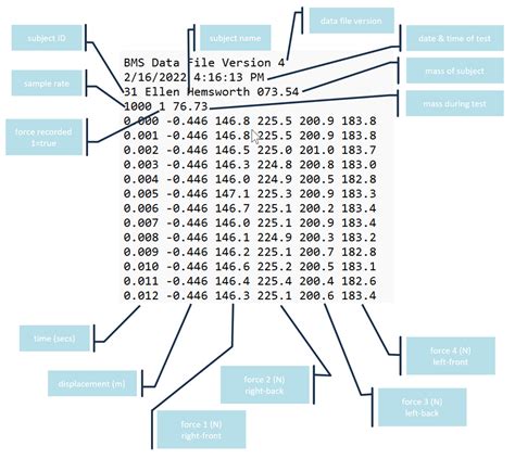 Central Source Data File Format に対する画像結果