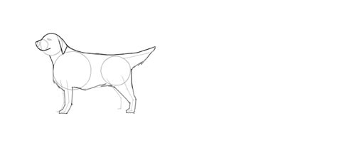 How Do You Draw Dog に対する画像結果