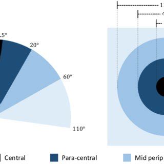 Image result for Normal Peripheral Vision