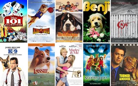 Image result for Animal Dog Movies