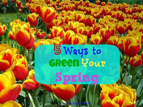 Image result for Spring Green Values