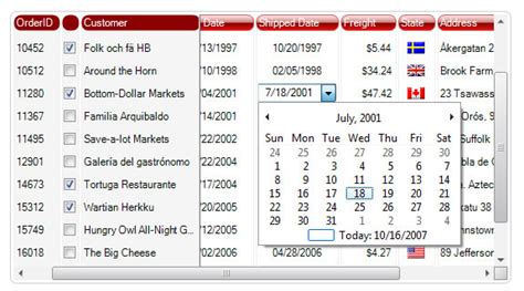 Image result for List View Windows Forms