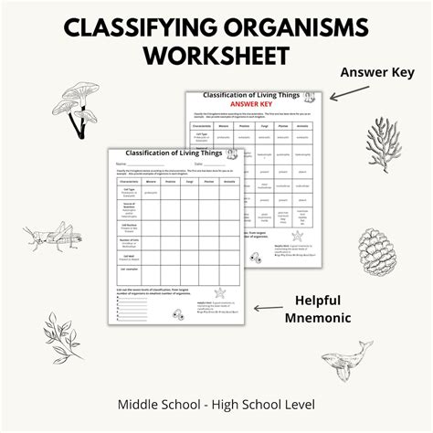 Image result for Classifying Worksheet