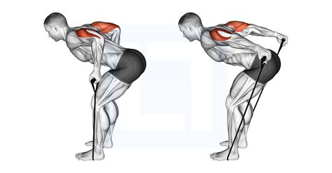 Cable Kickback - Guide, Benefits, and Form
