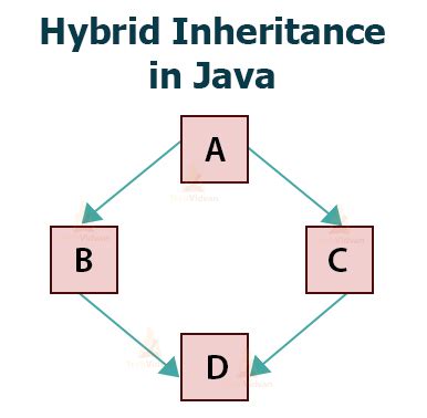 Image result for Inheritance in Java Real-Time Example