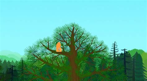 National Forest Explorer App に対する画像結果