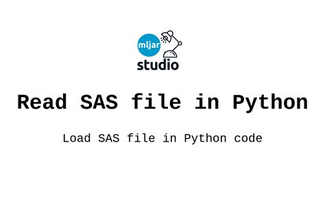 Afbeeldingsresultaten voor SAS File Format