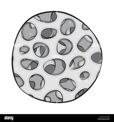 Tissue Cell Cartoon-এর ছবি ফলাফল