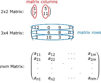 Image result for Matrix Dimensions