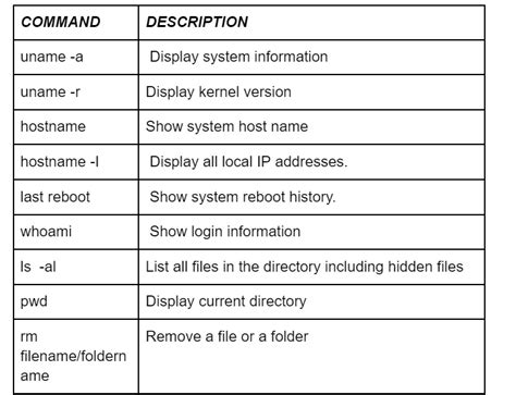 Image result for Linux Basic Commands Navigation