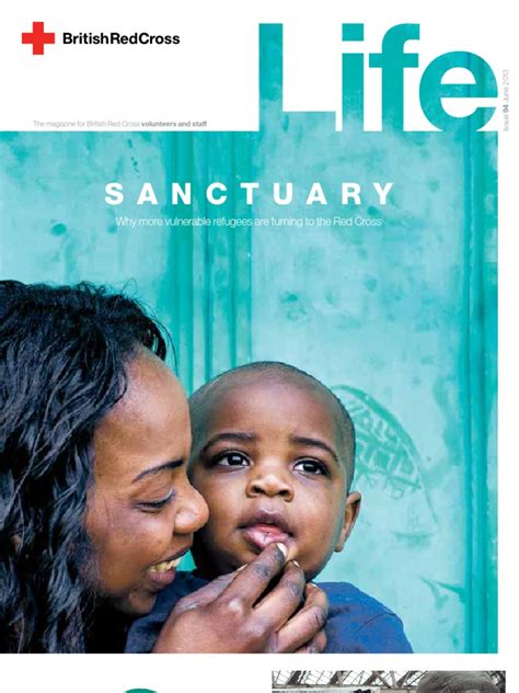 Image result for Program Life Cycle Red Cross