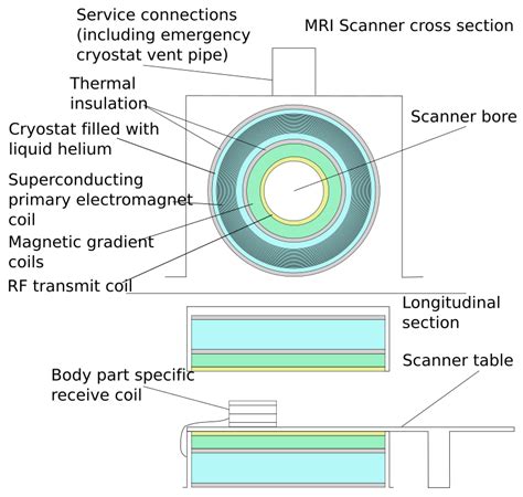 Image result for Labelled Diagram of Scanner Input Device