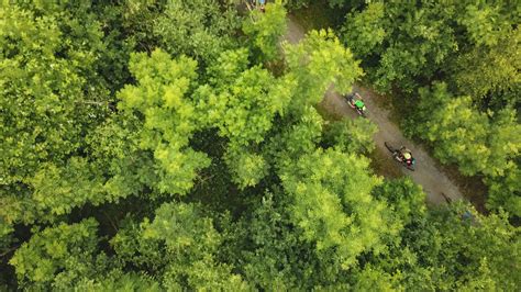 National Forest Explorer App に対する画像結果