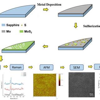 Afbeeldingsresultaten voor Experiment Flow Chart