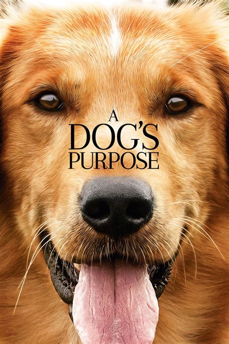 Image result for Animal Dog Movies