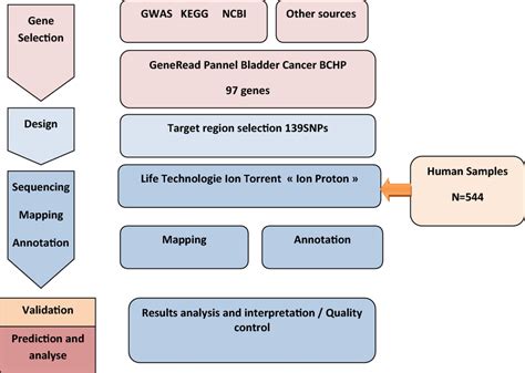 Data Understanding Workflow に対する画像結果