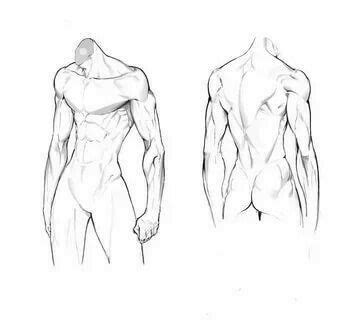 Image result for Back Torso Drawing