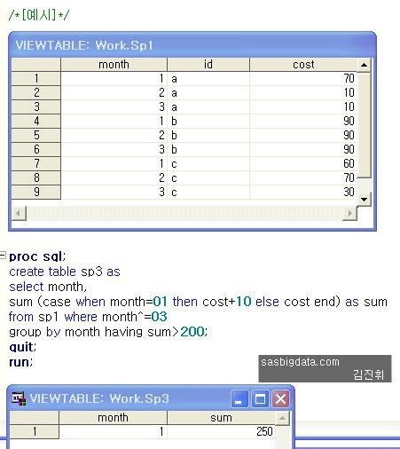 Proc SQL SAS に対する画像結果