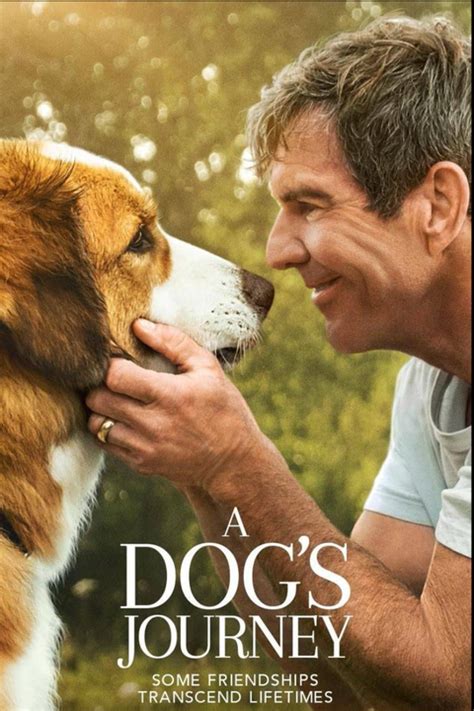 Image result for Animal Dog Movies