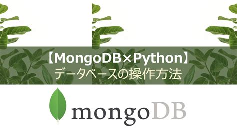 MongoDB Python Program に対する画像結果