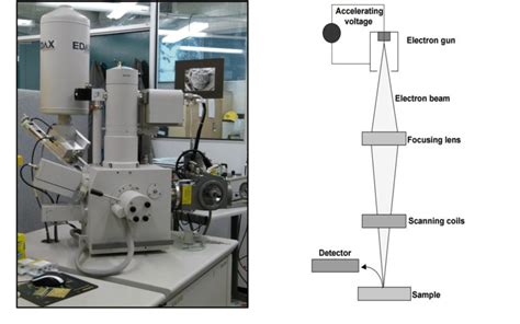 Image result for Sem Process