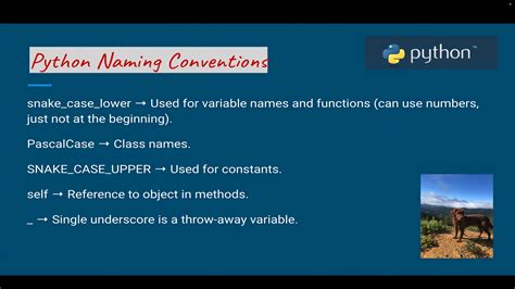 Image result for Python Coding Conventions