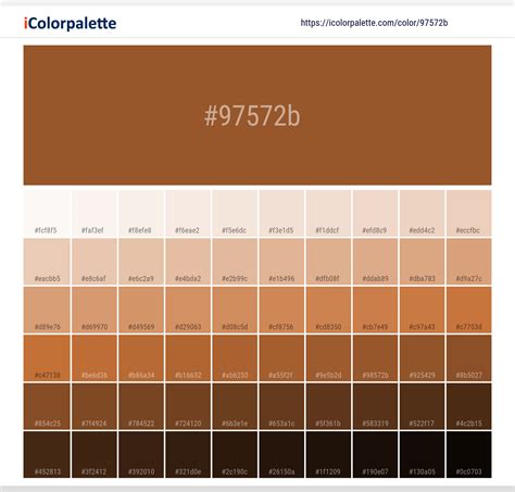 Image result for HTML Background Color Code Brown