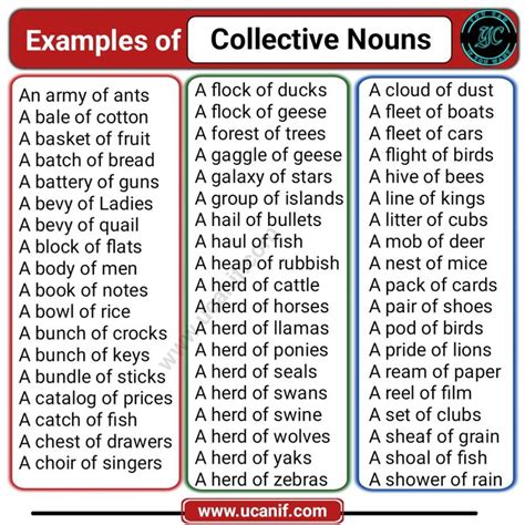 Image result for Collective Nouns Examples