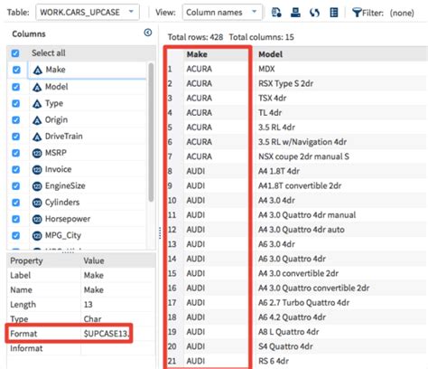 Image result for Format Statement Syntax SAS