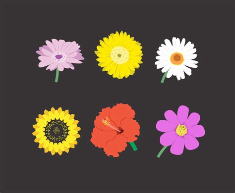 Image result for Colorful Flowers Vector