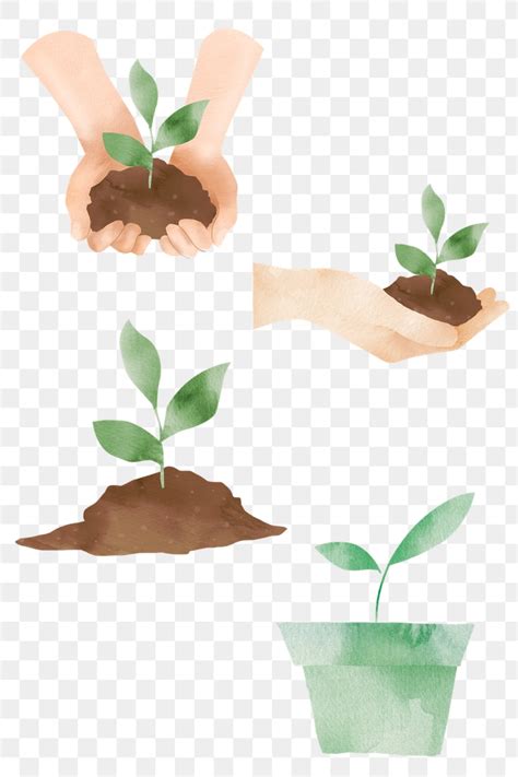 Planting Flowers Drawing PNG に対する画像結果