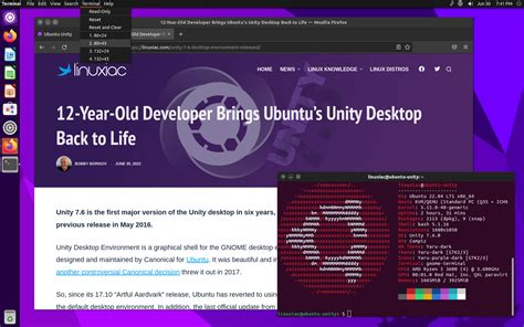 Afbeeldingsresultaten voor Unity Desktop Environment