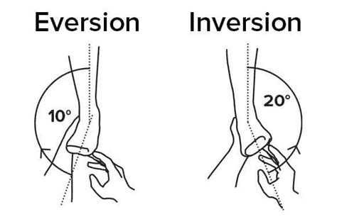 Subtalar Inversion に対する画像結果