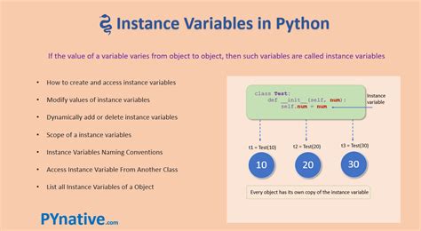 Image result for Instance Variable in Python