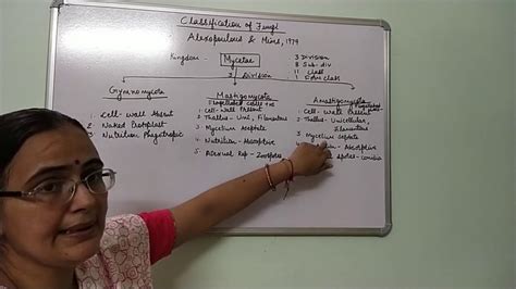 Flow Chart of Alexopoulos and Mims Classification に対する画像結果